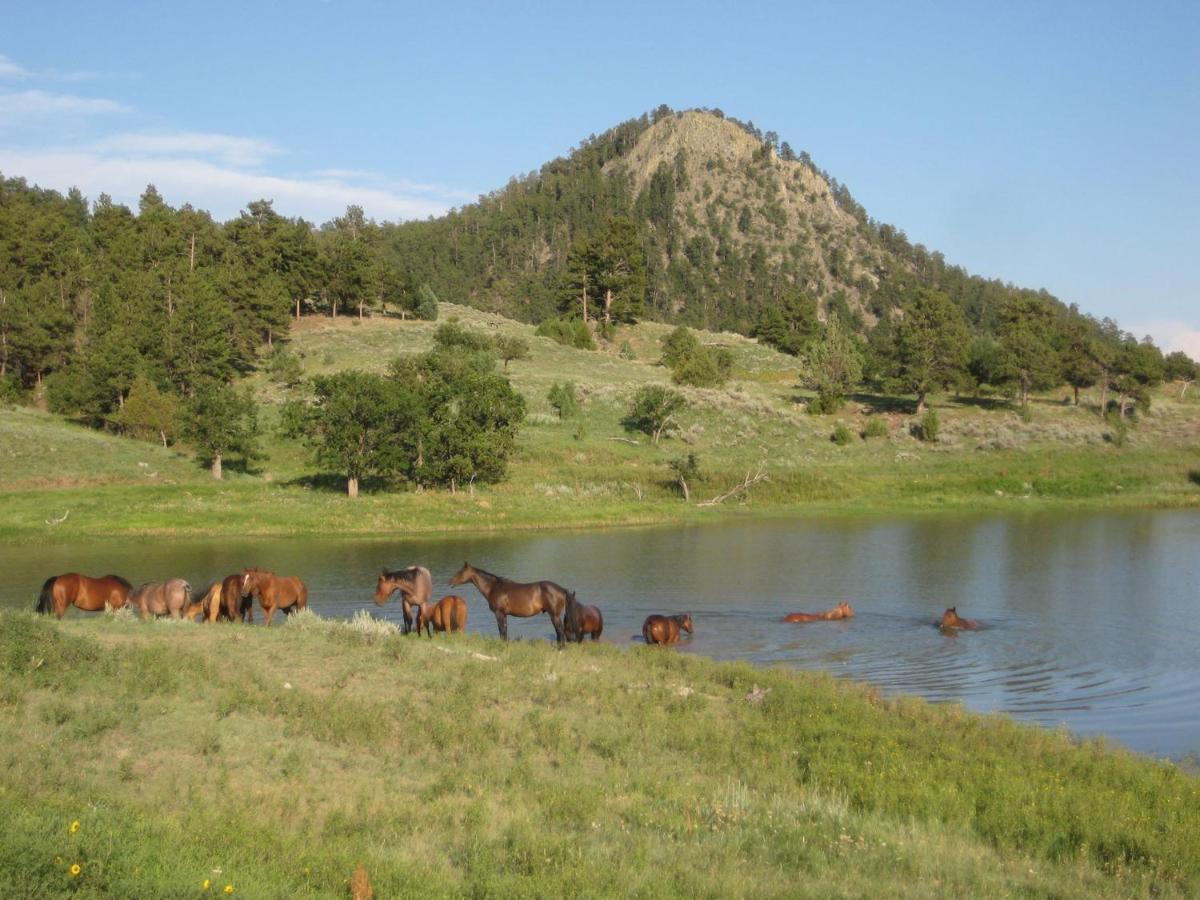فيلا Lake Guest Ranch Devils Tower المظهر الخارجي الصورة