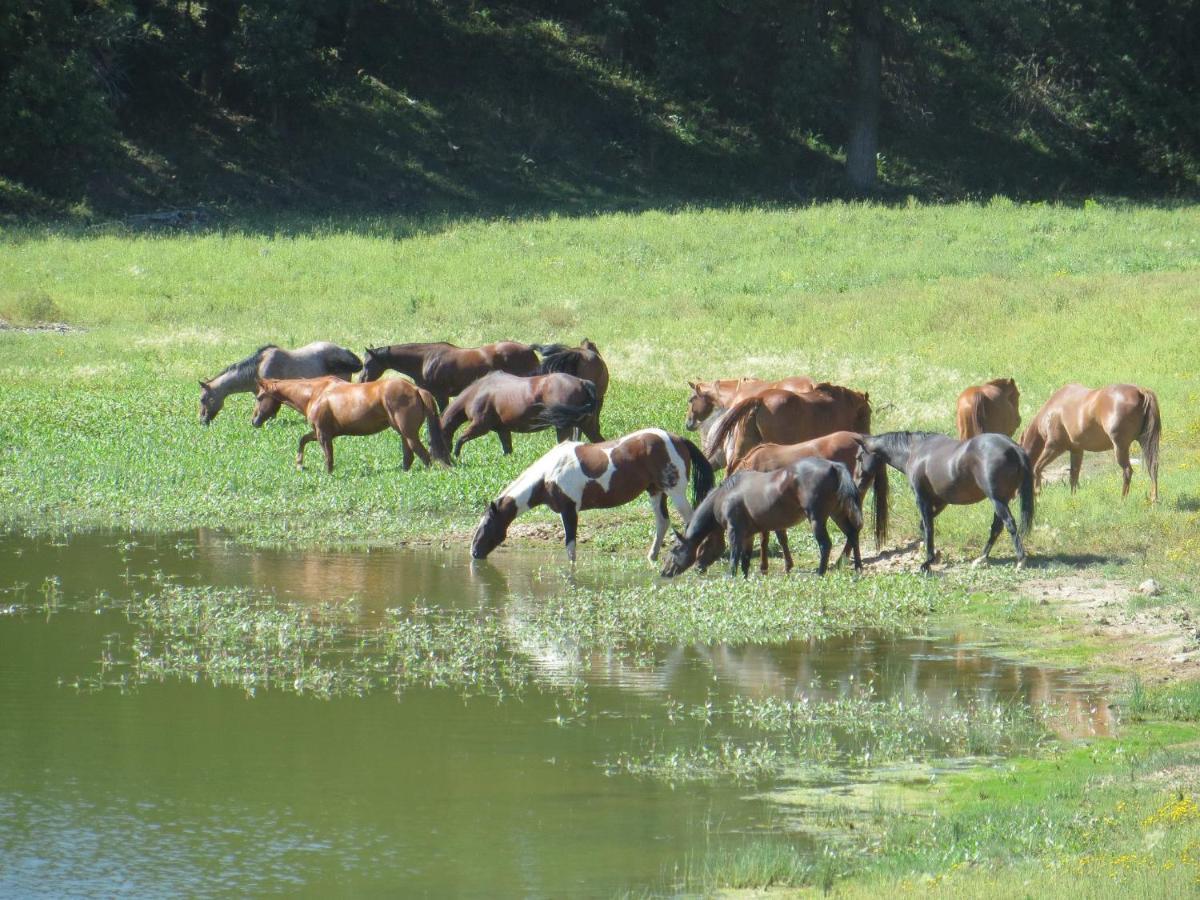 فيلا Lake Guest Ranch Devils Tower المظهر الخارجي الصورة