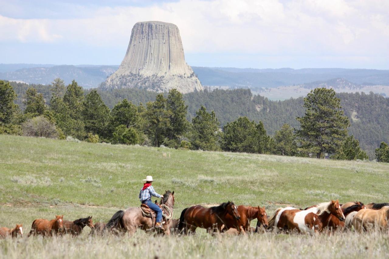 فيلا Lake Guest Ranch Devils Tower المظهر الخارجي الصورة